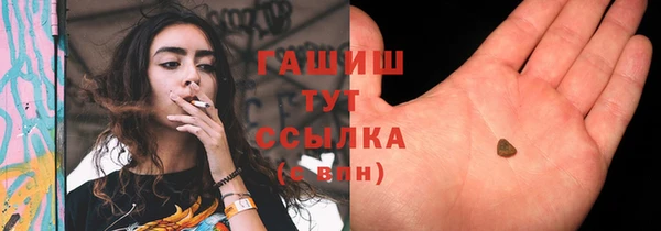 гашик Аркадак