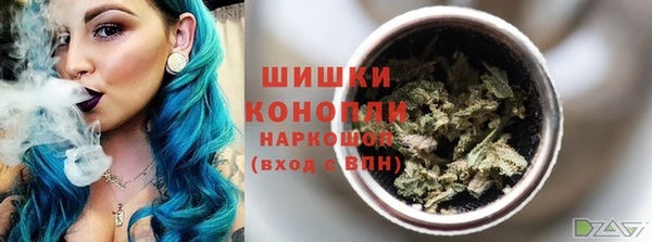 гашик Аркадак
