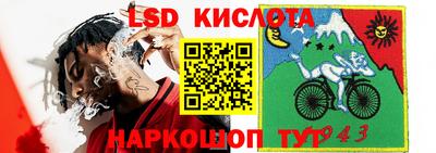 гашик Аргун