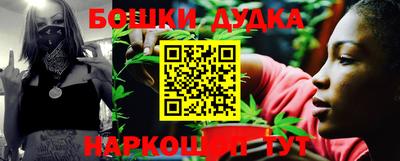 гашик Аргун