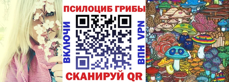 Галлюциногенные грибы Psilocybe  Беслан 