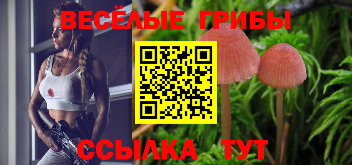 Псилоцибиновые грибы Psilocybine cubensis  Вход с VPN  Беслан 